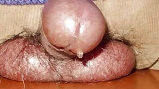 Latina, kellel patsid perses paks mees omatehtud kaamera jaoks raha